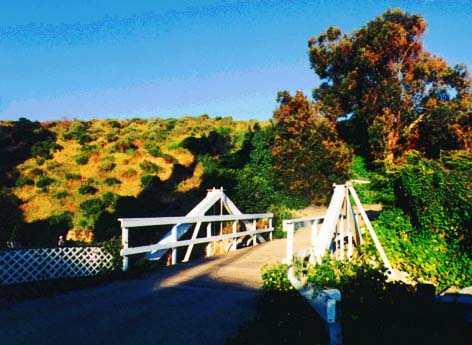 Bridge 2