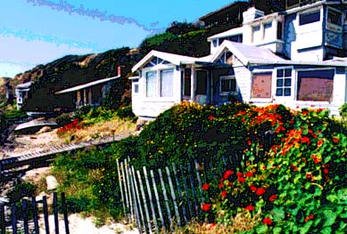 Gray house