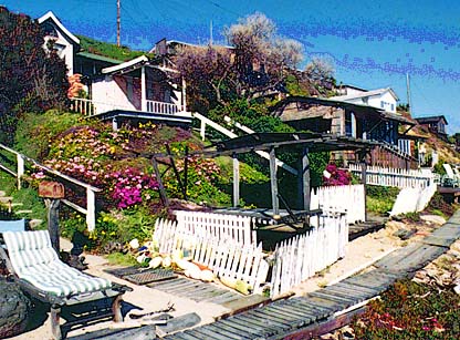 Nelda's