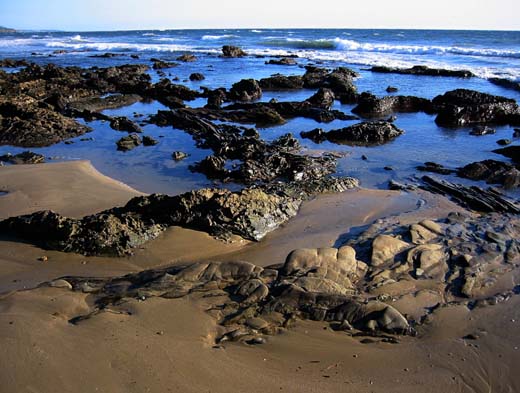 Reef rocks
