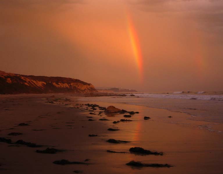 Reef rocks
