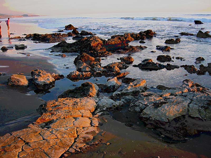 Beach reef rocks