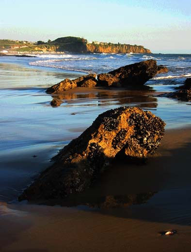 Beach reef rocks